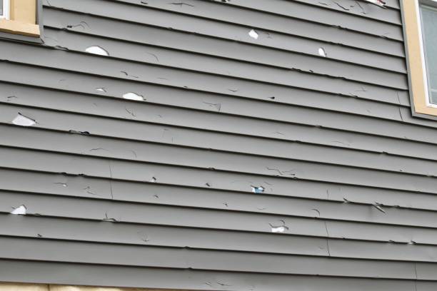 Best Aluminum Siding Installation  in Lincoln, AL